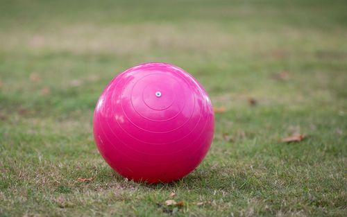 Treibball 30 cm Roze