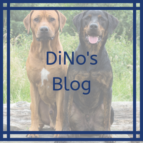 DiNo's Blog