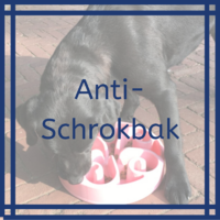 Anti-Schrokbak